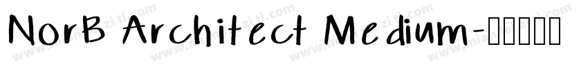 NorB Architect Medium字体转换